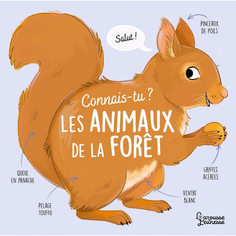 Connais-tu les animaux de la forêt ?