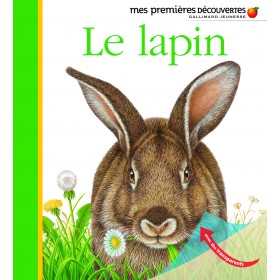 Le lapin