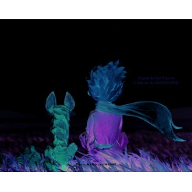 Le Petit Prince raconté aux...