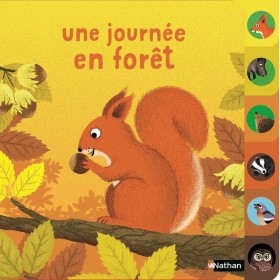 Une journée en forêt