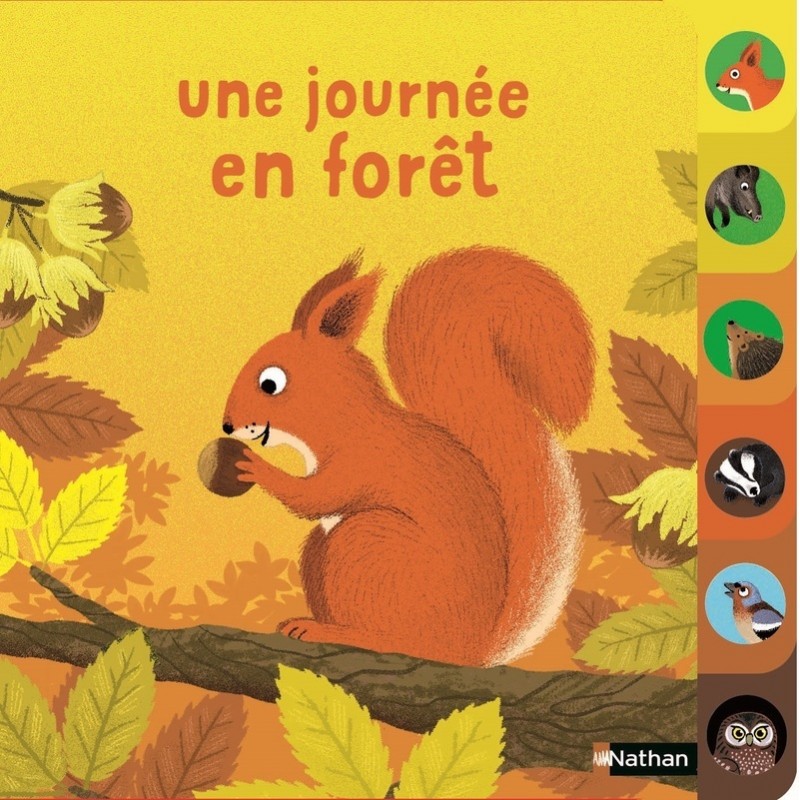 Une journée en forêt