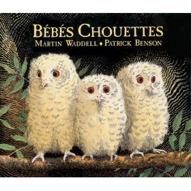 Bébés Chouettes