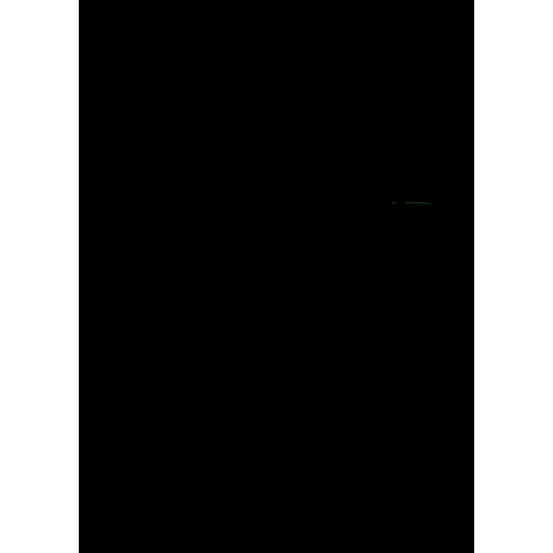 Petit questionneur (Le)