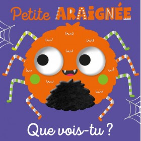 QUE VOIS-TU, PETITE ARAIGNÉE ?