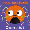 QUE VOIS-TU, PETITE ARAIGNÉE ?