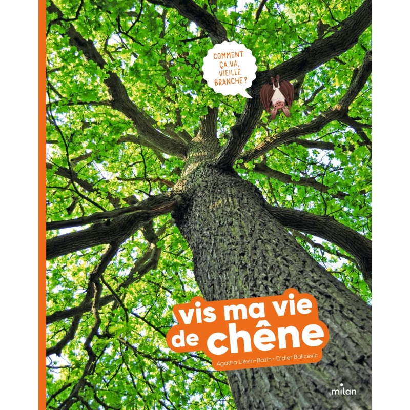 Vis ma vie de chêne