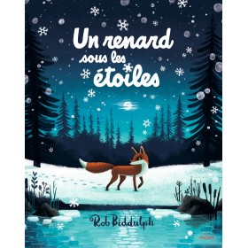 Un renard sous les étoiles