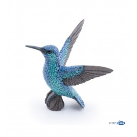 Colibri - Les animaux des...