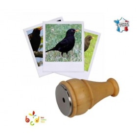 Appeau du Merle Noir - Les...