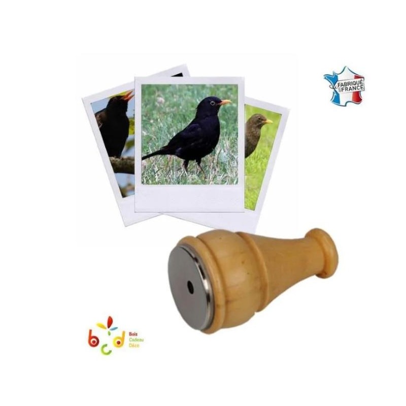 Appeau du Merle Noir - Les Zapos