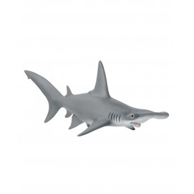 Requin-Marteau - Wild Life