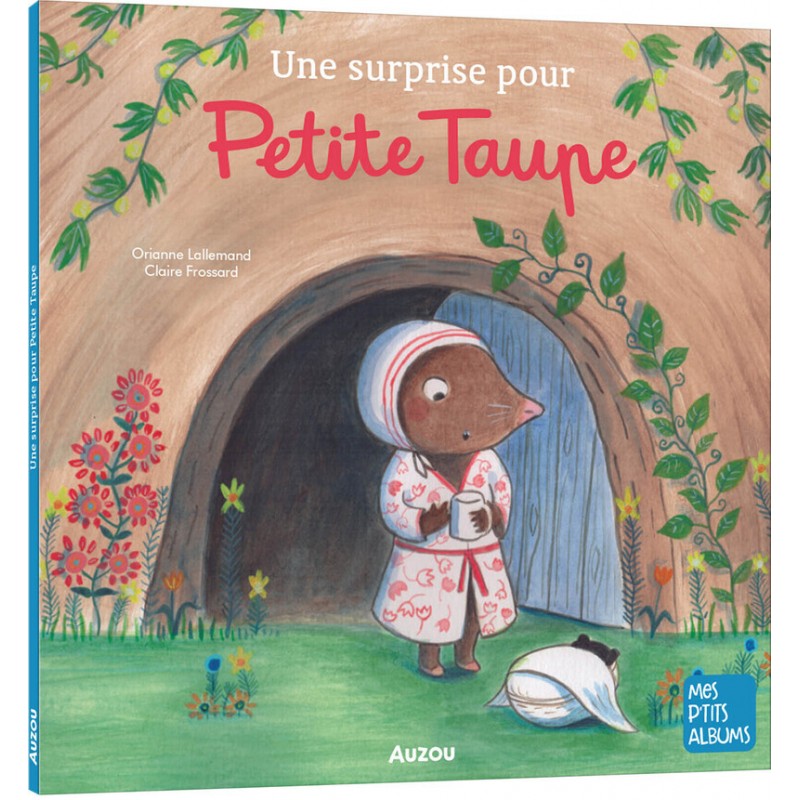 Une surprise pour petite taupe NED