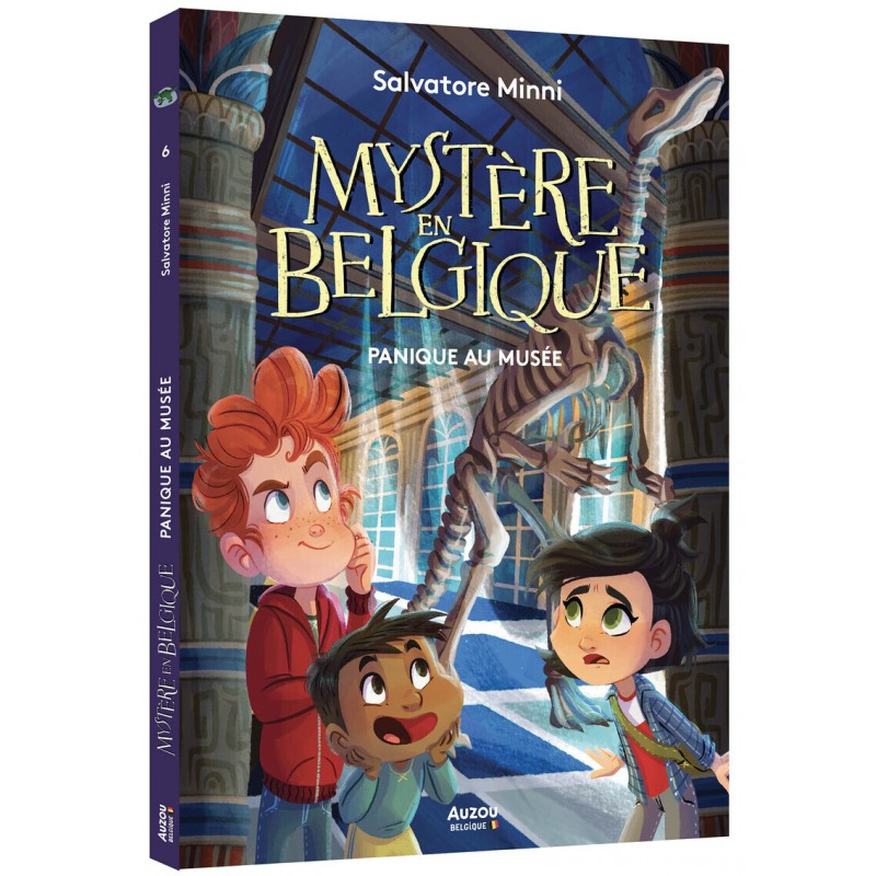 Mystère en Belgique - 6 Panique au musée - Tome 6
