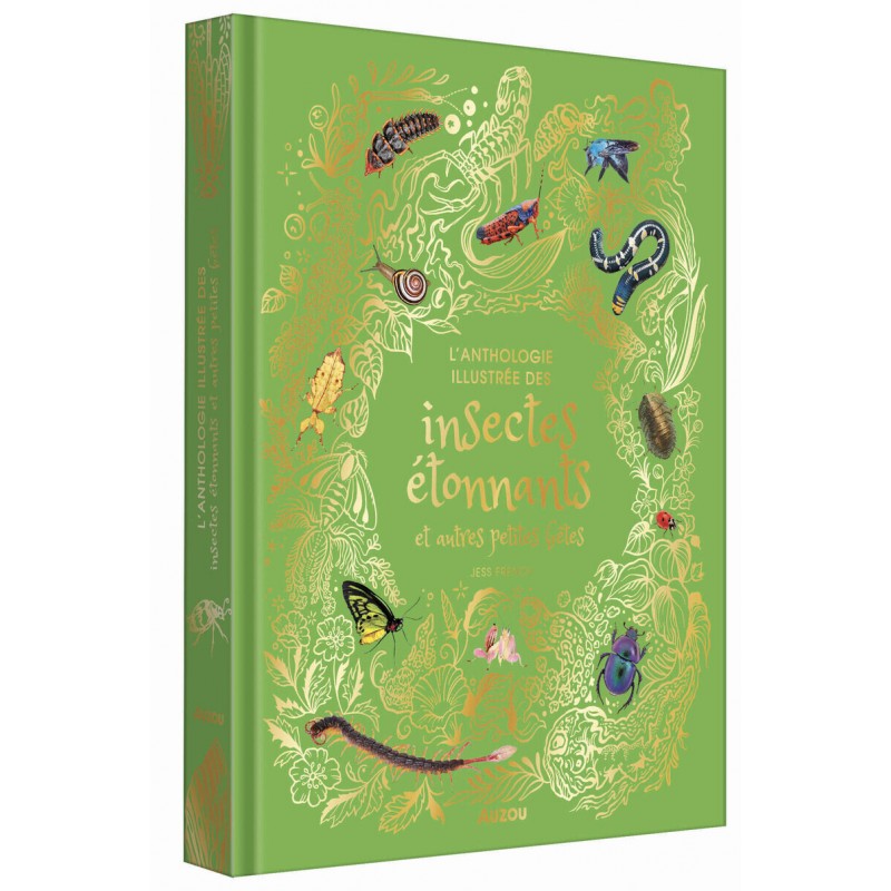 Anthologie illustrée des insectes étonnants et autres petites bêtes