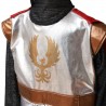Costume de chevalier
