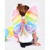 Ailes arc-en-ciel