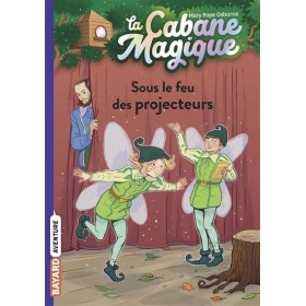 La cabane magique - Tome 20...