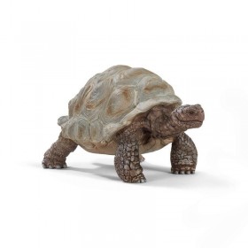 Tortue géante - Wild Life