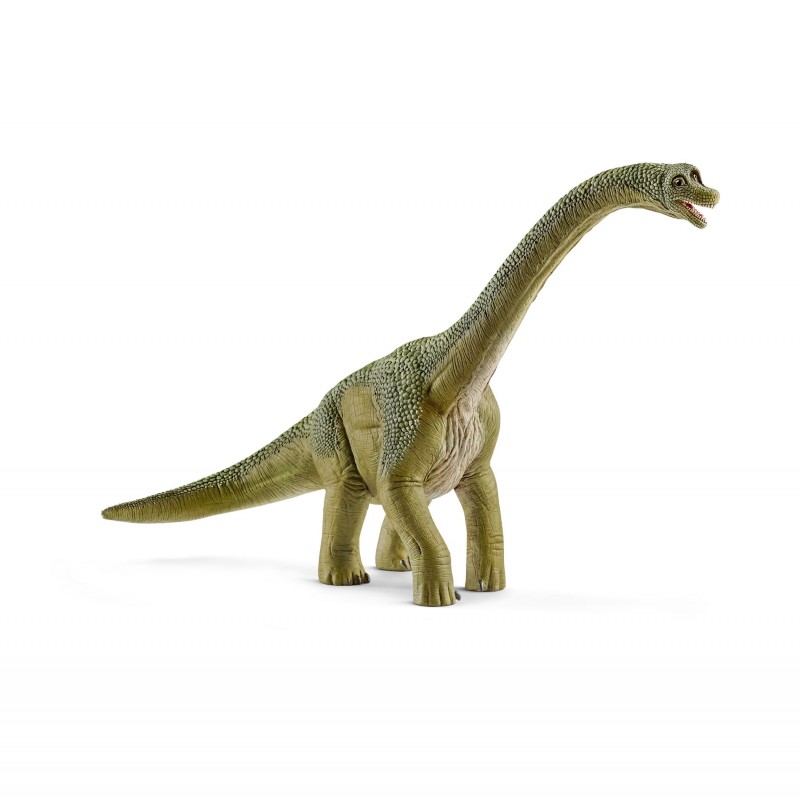 Brachiosaure - Dinosaurs