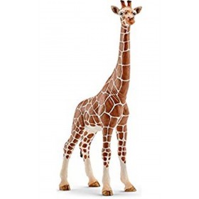 Girafe femelle - Wild Life