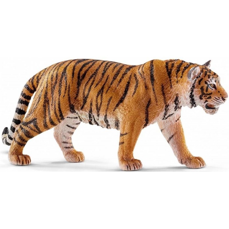 Tigre du Bengale - Wild Life