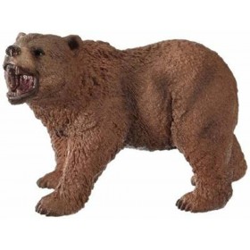 Ours Grizzly - Wild Life