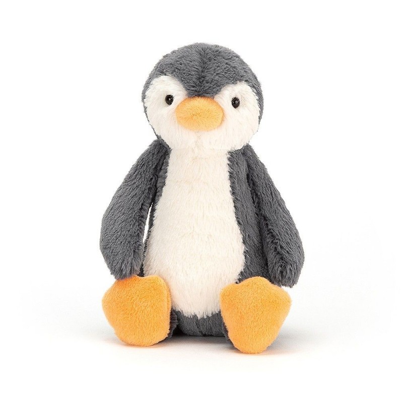 Petit pingouin bashful