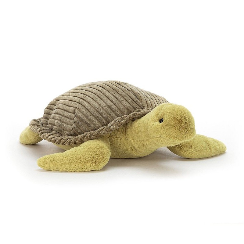 Tortue Terence
