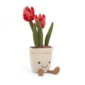 Tulipe Amuseable