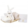 Lapin mouchoir boite fleur