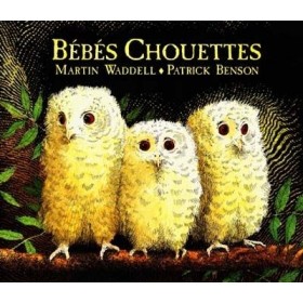 Bébés Chouettes