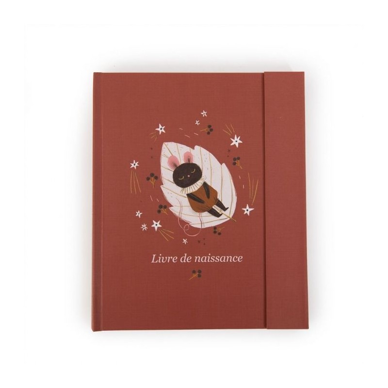 Livre de naissance Après la pluie Livre de naissance Après la pluie