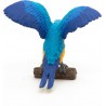 Perroquet ara bleu - La vie sauvage