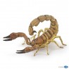 Scorpion - La vie sauvage