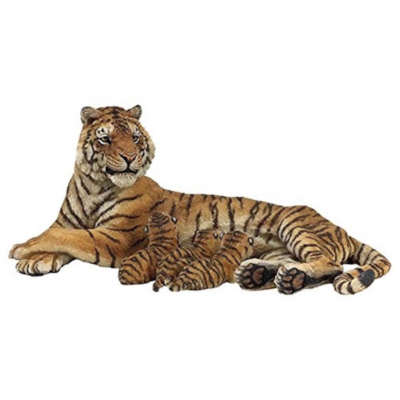 Tigresse couchée allaitant - La vie sauvage