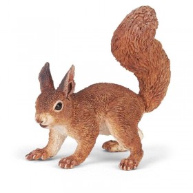 Ecureuil - La vie sauvage