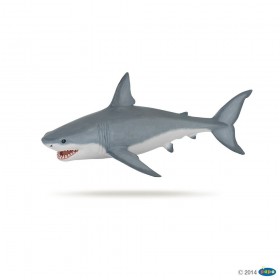 Requin blanc - L'univers marin