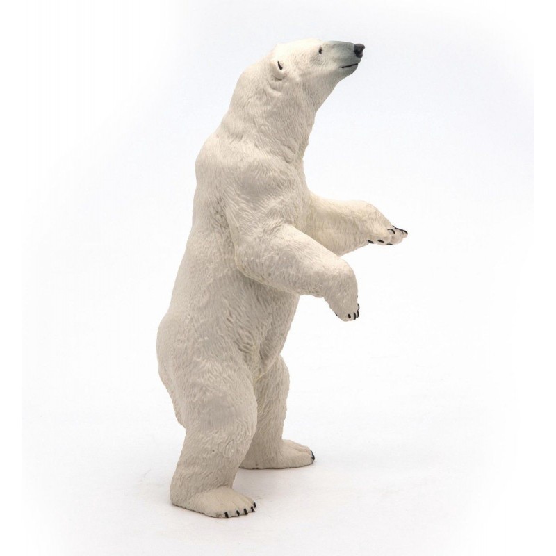 Ours polaire debout - La vie sauvage