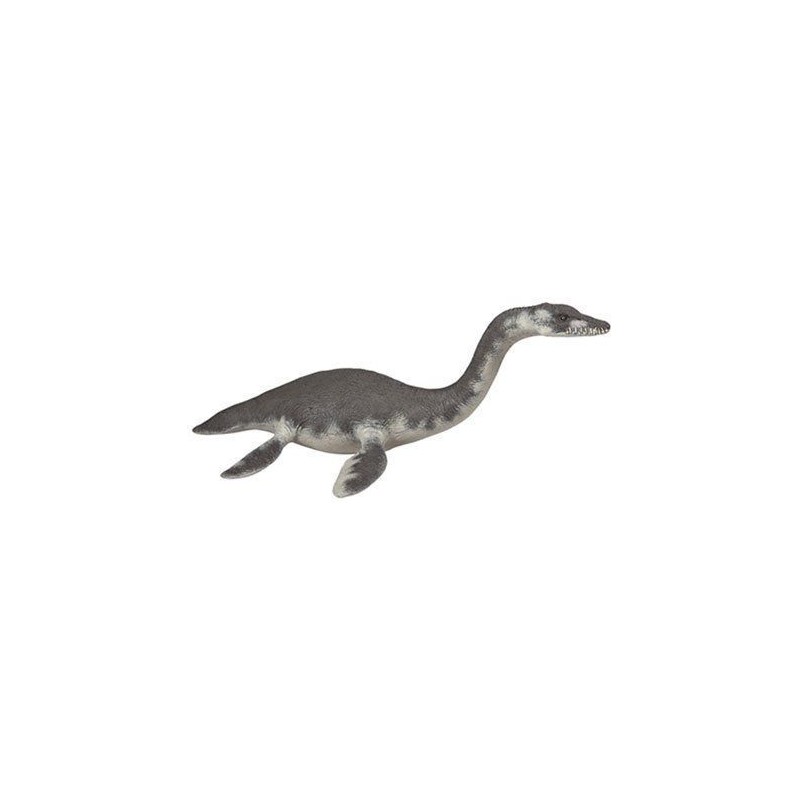 Plésiosaure - Les dinosaures