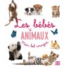 Mon bel imagier - Les bébés animaux