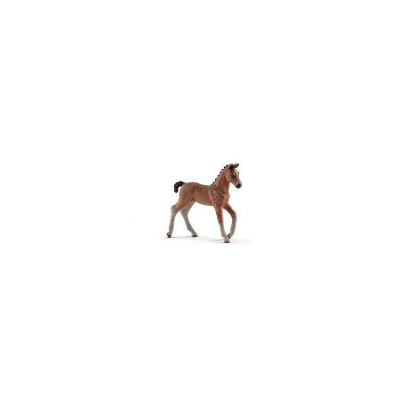 Poulain hanovre - Horse Club Poulain hanovre - Horse Club