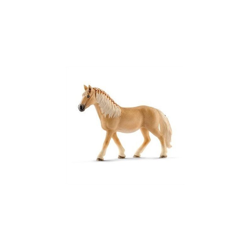 Jument haflinger - Horse Club Jument haflinger - Horse Club