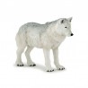 Loup polaire - La vie sauvage