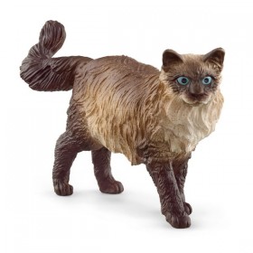 Chat Ragdoll - Farm World