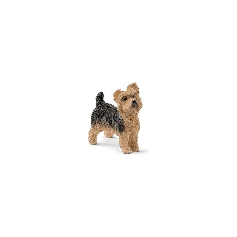 Yorkshire terrier - Farm World Yorkshire terrier - Farm World