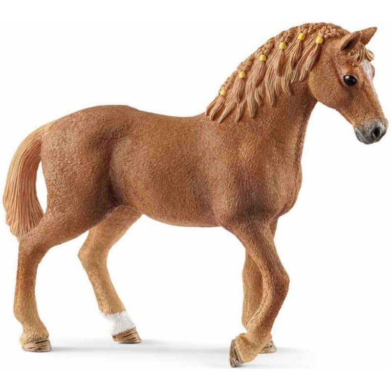 Jument quarter horse - Horse club Jument quarter horse - Horse club