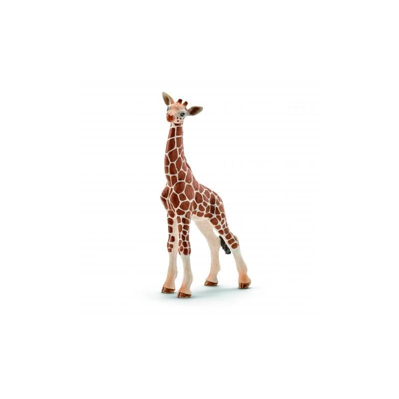 Bébé girafe - Wild Life