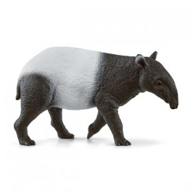 Tapir - Wild Life