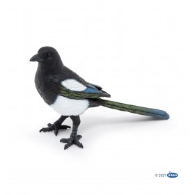 Pie - Les animaux des jardins