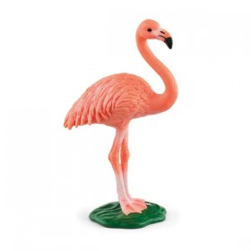 Flamant rose - Wild Life